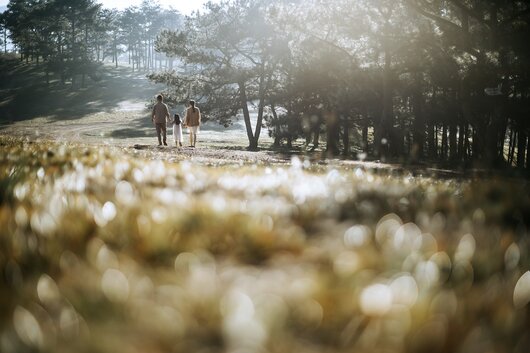 [Image #6]