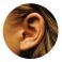 [Image #1]