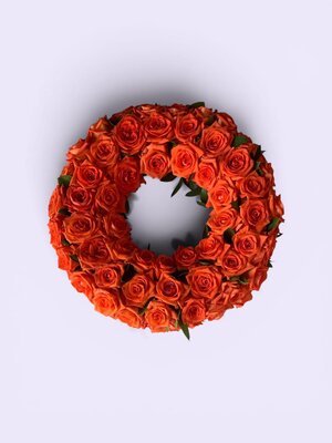 [Image #6]