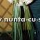 [Image #9]