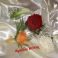 [Image #2]