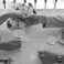 [Image #1]