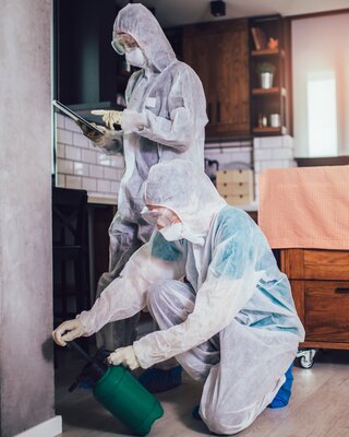 [Image #9]